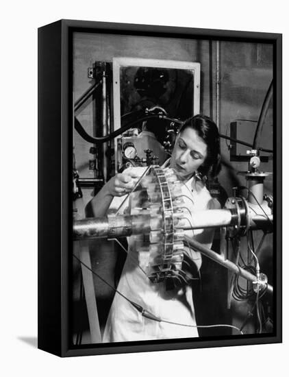 Dr. Liane Russell Studying Effects of Radiation on Mouse Genetics at Oak Ridge National Laboratory-null-Framed Stretched Canvas