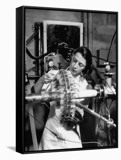 Dr. Liane Russell Studying Effects of Radiation on Mouse Genetics at Oak Ridge National Laboratory-null-Framed Stretched Canvas