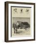 Dr Livingstone's House at Ujiji-null-Framed Giclee Print