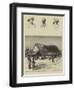 Dr Livingstone's House at Ujiji-null-Framed Giclee Print