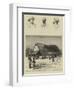 Dr Livingstone's House at Ujiji-null-Framed Giclee Print