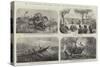 Dr Livingstone's Missionary Travels and Researches in South Africa-null-Stretched Canvas