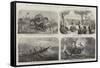 Dr Livingstone's Missionary Travels and Researches in South Africa-null-Framed Stretched Canvas