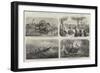 Dr Livingstone's Missionary Travels and Researches in South Africa-null-Framed Premium Giclee Print