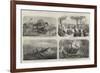 Dr Livingstone's Missionary Travels and Researches in South Africa-null-Framed Giclee Print