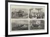 Dr Livingstone's Missionary Travels and Researches in South Africa-null-Framed Giclee Print