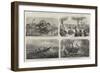 Dr Livingstone's Missionary Travels and Researches in South Africa-null-Framed Giclee Print