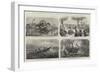 Dr Livingstone's Missionary Travels and Researches in South Africa-null-Framed Giclee Print