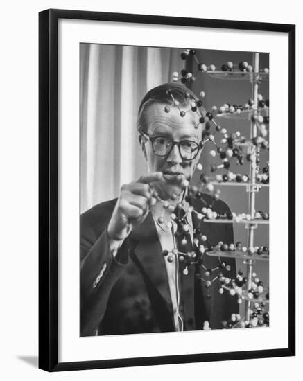 Dr. Maurice H.F. Wilkins Nobel Prize Winner with Model of Dna Molecule for Which He Received Prize-null-Framed Premium Photographic Print