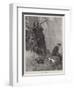 Dr Nansen and Mr Jackson Shooting Loons on Cape Flora-William Hatherell-Framed Giclee Print