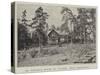 Dr Nansen's House at Lysaker, Near Christiania-null-Stretched Canvas