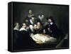 Dr. Nicolaes Tulp Is Pictured Explaining The Musculature Of The Arm To Medical Professionals-Rembrandt van Rijn-Framed Stretched Canvas