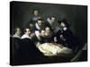 Dr. Nicolaes Tulp Is Pictured Explaining The Musculature Of The Arm To Medical Professionals-Rembrandt van Rijn-Stretched Canvas