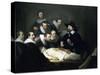 Dr. Nicolaes Tulp Is Pictured Explaining The Musculature Of The Arm To Medical Professionals-Rembrandt van Rijn-Stretched Canvas