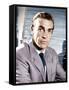 Dr No, Sean Connery, 1962-null-Framed Stretched Canvas