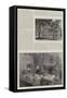 Dr Oliver Wendell Holmes-Thomas Harrington Wilson-Framed Stretched Canvas