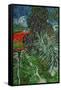 Dr. Paul Gachet's Garden at Auvers-Sur-Oise, c.1890-Vincent van Gogh-Framed Stretched Canvas
