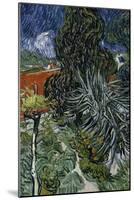 Dr. Paul Gachet's Garden at Auvers-Sur-Oise, c.1890-Vincent van Gogh-Mounted Giclee Print