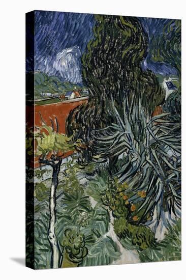 Dr. Paul Gachet's Garden at Auvers-Sur-Oise, c.1890-Vincent van Gogh-Stretched Canvas