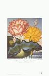 The Pontic Rhododendron-Dr^ Robert J^ Thornton-Art Print