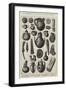 Dr Schliemann's Trojan Antiquities at South Kensington-null-Framed Giclee Print