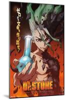 Dr. Stone - One Sheet-Trends International-Mounted Poster