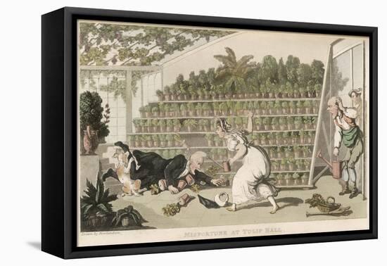 Dr Syntax, Misfortune at Tulip Hall-Thomas Rowlandson-Framed Stretched Canvas
