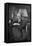 Dr Thierry De Martel, French Surgeon, 1935-null-Framed Stretched Canvas