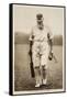 Dr. W.G. Grace at the Oval, 1906-null-Framed Stretched Canvas