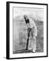 Dr. W.G. Grace at the Wicket, 1898-null-Framed Photographic Print