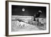 Dr Who, the Web Planet, 1965-Alisdair Macdonald-Framed Photographic Print