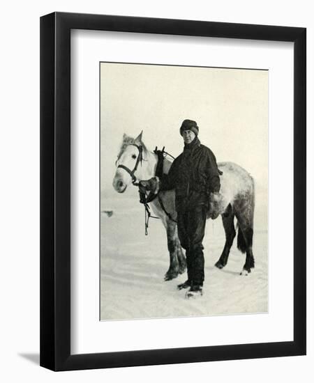 'Dr. Wilson and Pony 'Nobby', c1911, (1913)-Herbert Ponting-Framed Photographic Print