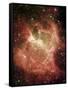 DR6 Nebula-null-Framed Stretched Canvas