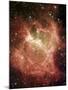 DR6 Nebula-null-Mounted Premium Photographic Print