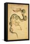 Draco and Ursa Minor Constellations, 1825-Science Source-Framed Stretched Canvas