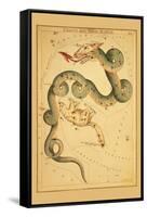 Draco and Ursa Minor-Aspin Jehosaphat-Framed Stretched Canvas