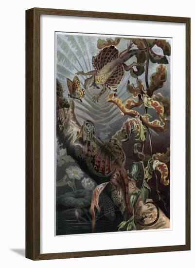 Draco by Alfred Edmund Brehm-Stefano Bianchetti-Framed Giclee Print