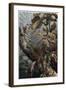 Draco by Alfred Edmund Brehm-Stefano Bianchetti-Framed Giclee Print