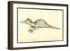 Draco Marinus Monophthalmos Bipes-Ulisse Aldrovandi-Framed Art Print