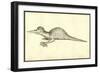 Draco Marinus Monophthalmos Bipes-Ulisse Aldrovandi-Framed Art Print