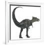 Dracorex Dinosaur from the Cretaceous Period-Stocktrek Images-Framed Art Print