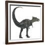 Dracorex Dinosaur from the Cretaceous Period-Stocktrek Images-Framed Art Print