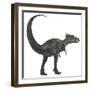 Dracorex Dinosaur from the Cretaceous Period-Stocktrek Images-Framed Art Print