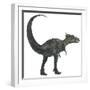 Dracorex Dinosaur from the Cretaceous Period-Stocktrek Images-Framed Art Print