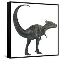 Dracorex Dinosaur from the Cretaceous Period-Stocktrek Images-Framed Stretched Canvas