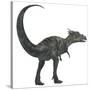 Dracorex Dinosaur from the Cretaceous Period-Stocktrek Images-Stretched Canvas