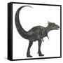 Dracorex Dinosaur from the Cretaceous Period-Stocktrek Images-Framed Stretched Canvas