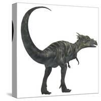 Dracorex Dinosaur from the Cretaceous Period-Stocktrek Images-Stretched Canvas
