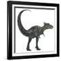 Dracorex Dinosaur from the Cretaceous Period-Stocktrek Images-Framed Art Print