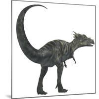 Dracorex Dinosaur from the Cretaceous Period-Stocktrek Images-Mounted Art Print